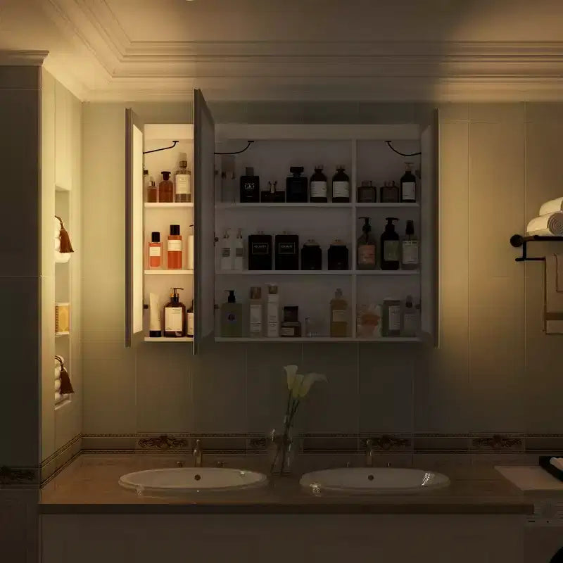 Armoire de toilette à LED avec fonction antibuée, grand espace de rangement et éclairage réglable, pour rehausser le style de votre salle de bain