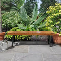 Karl Home | Light Brown Poplar Wood Outdoor Bench