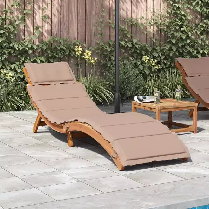 vidaXL Bain de soleil21,65 x 72,44 x 25,20 pouces Bois d'acacia massif