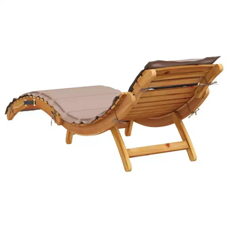 vidaXL Bain de soleil21,65 x 72,44 x 25,20 pouces Bois d'acacia massif