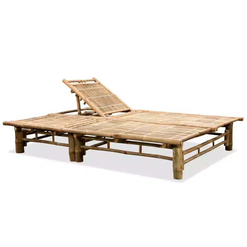vidaXL Bain de soleil Bambou naturel Bambou très grand