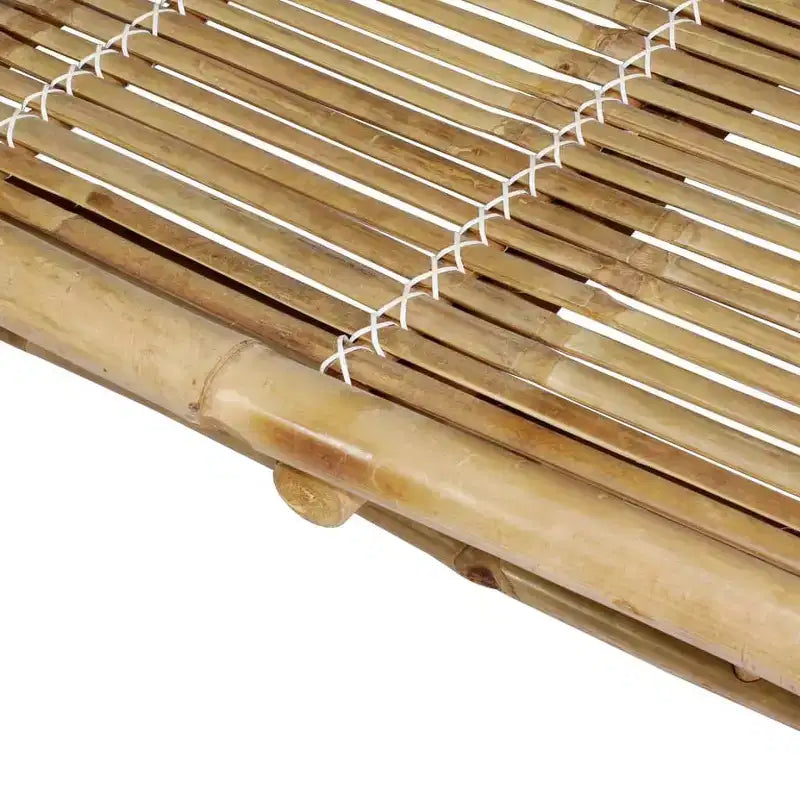 vidaXL Bain de soleil Bambou naturel Bambou très grand